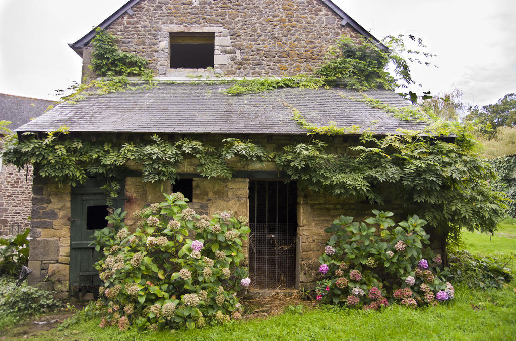 Le Cordon Blanc-Evran Bed and Breakfast Zewnętrze zdjęcie